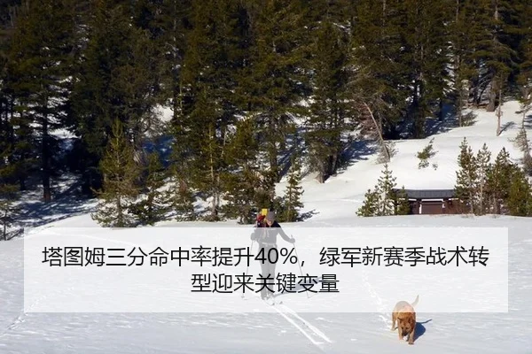 ta-tu-mu-san-fen-ming-zhong-lv-ti-sheng-lv-jun-xin-sai-ji-zhan-shu-zhuan-xing-ying-lai-guan-jian-bian-liang-3-805.jpg
