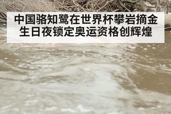 中国骆知鹭在世界杯攀岩摘金生日夜锁定奥运资格创辉煌
