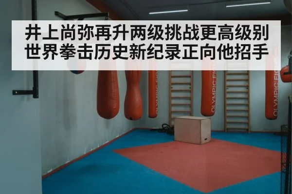 井上尚弥再升两级挑战更高级别世界拳击历史新纪录正向他招手