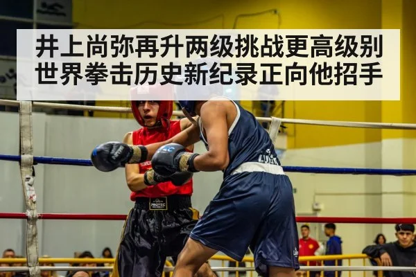 boxing match ring